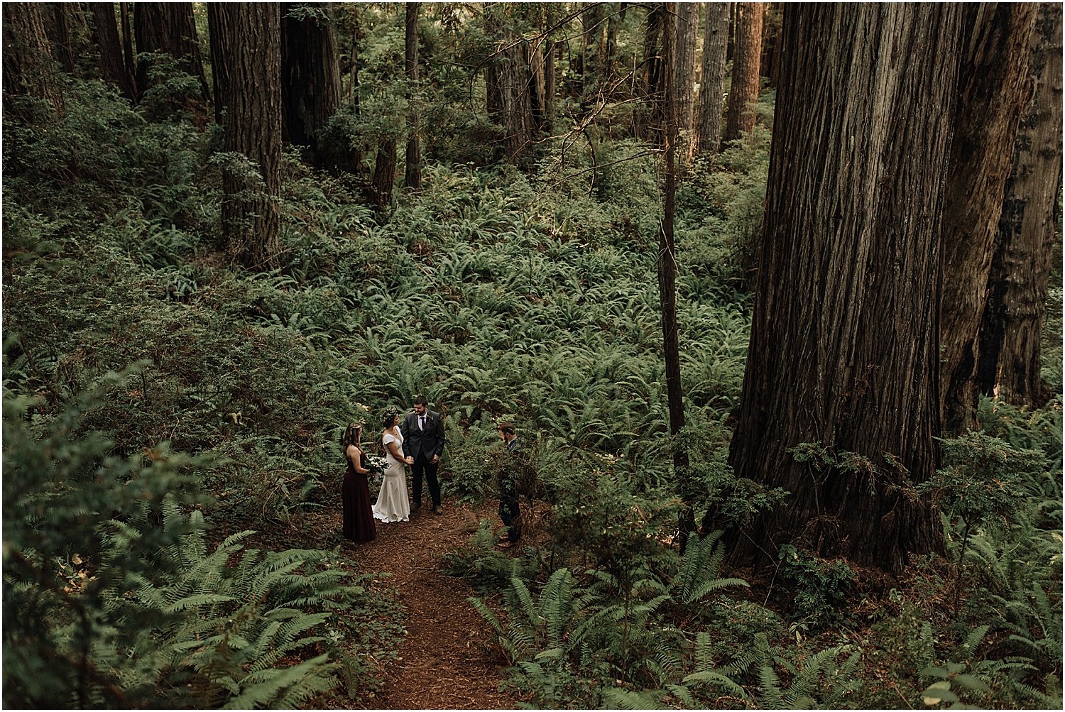 molly and brian's full day elopement in redwoods national park