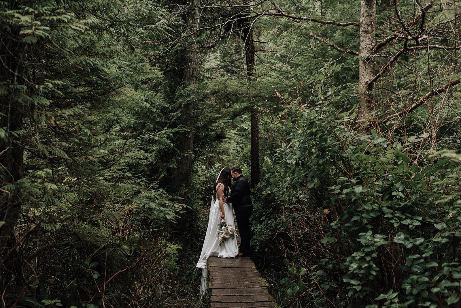 olympic national park washington elopement guide