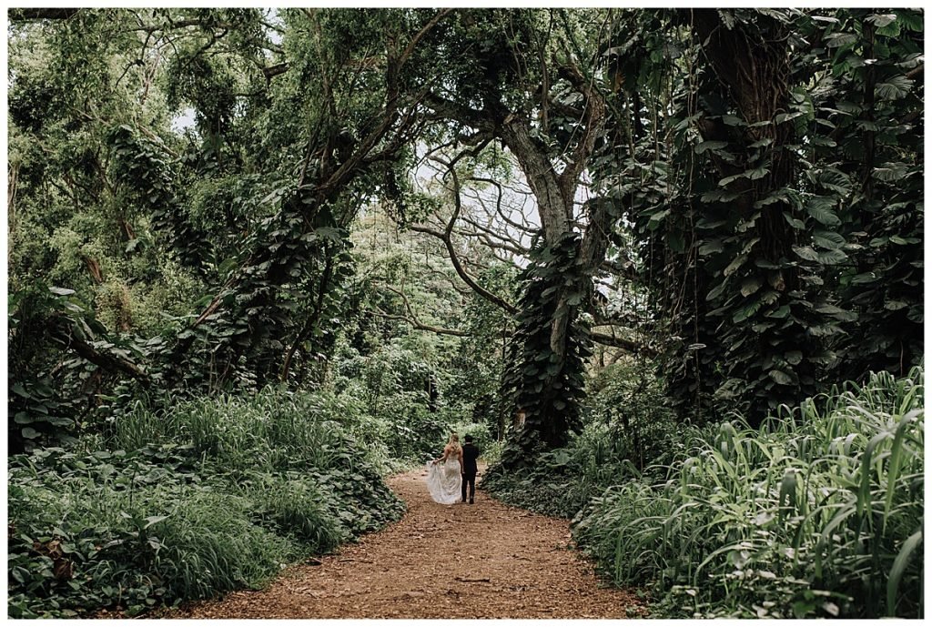 full day elopement in maui hawaii