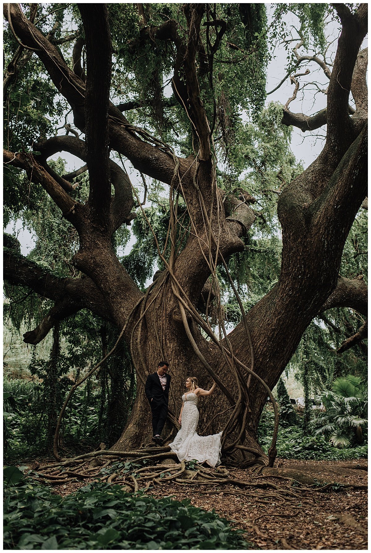 full day elopement in maui hawaii