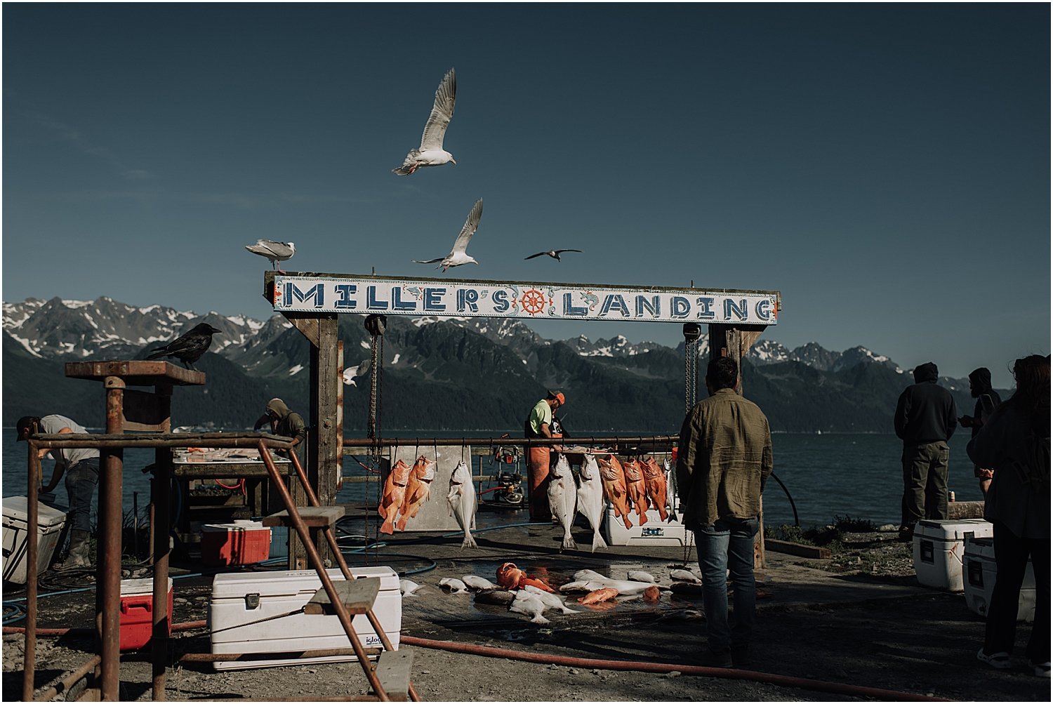 millers landing boat charter elopement in seward alaska