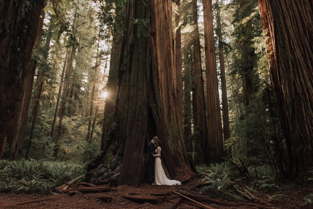 redwoods elopement packages naomi levit